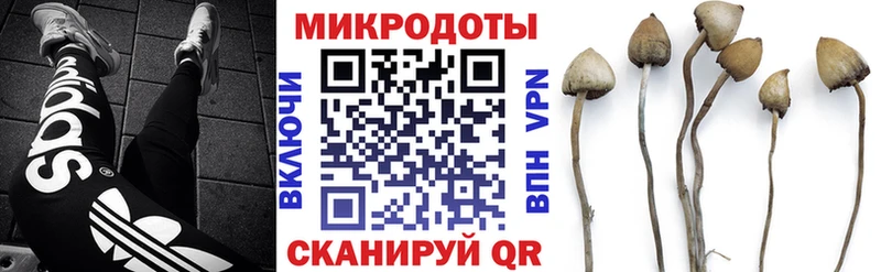 Галлюциногенные грибы мухоморы Себеж