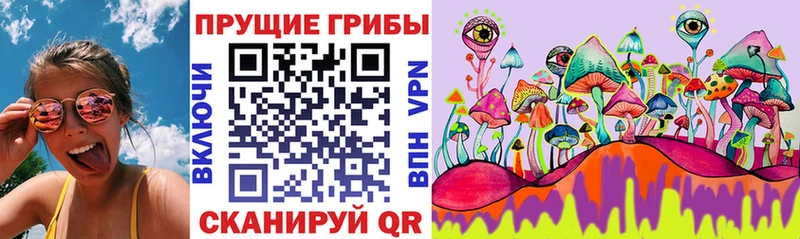 купить наркоту кракен вход Галлюциногенные грибы MAGIC MUSHROOMS Себеж