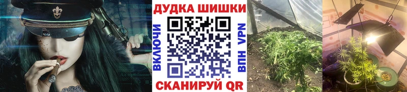 Конопля гибрид  Себеж 
